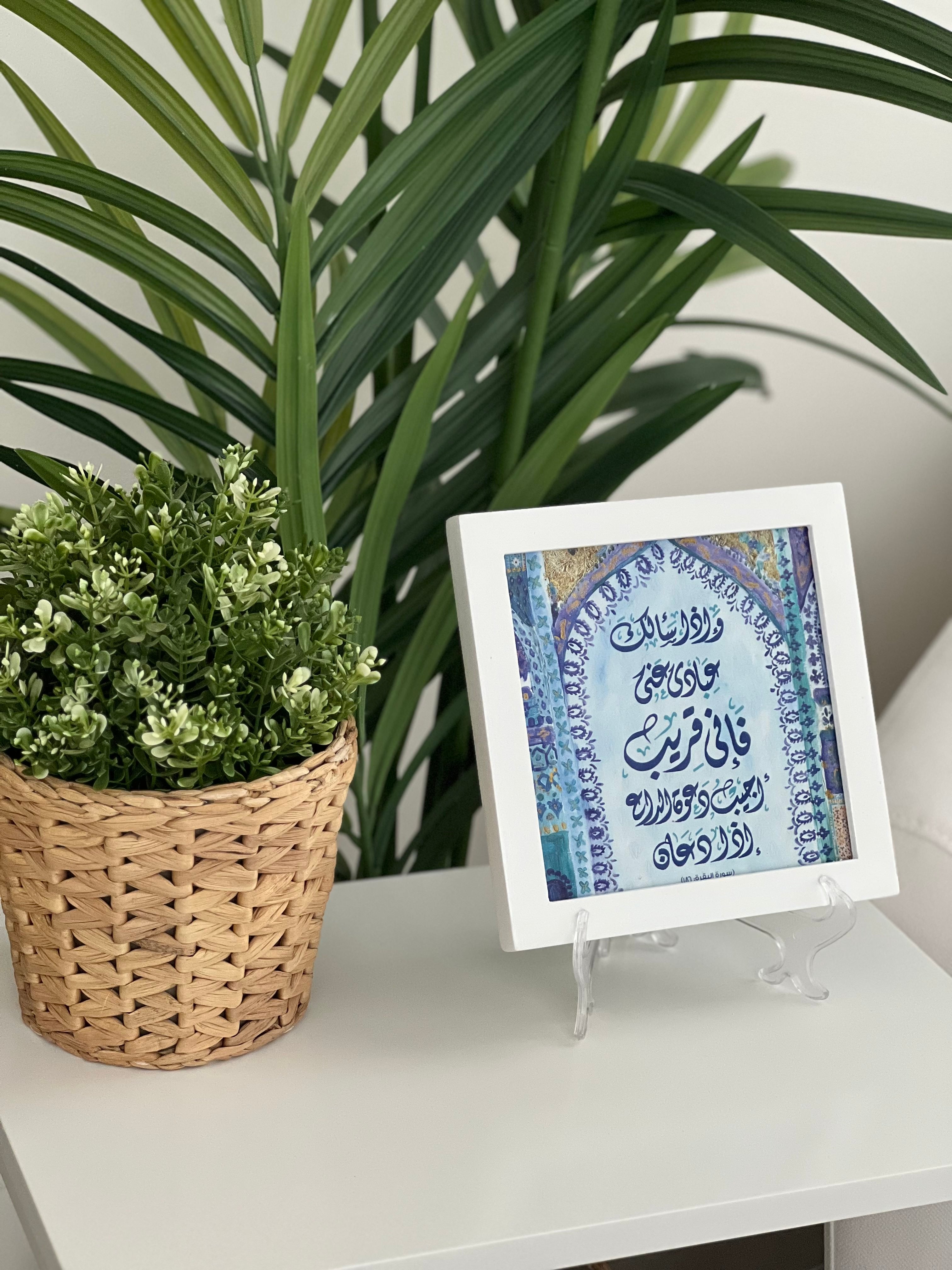 إطار وايث سالياك